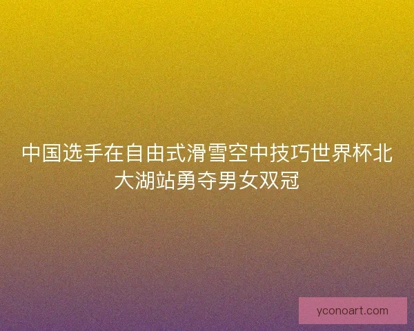 中国选手在自由式滑雪空中技巧世界杯北大湖站勇夺男女双冠